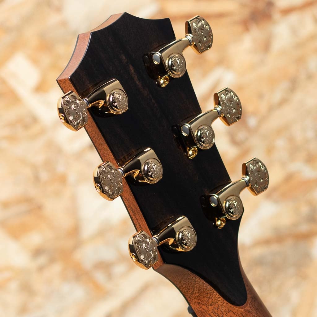 50th Anniversary 924ce-K LTD CIRCA 74 Amp Set: アコースティック