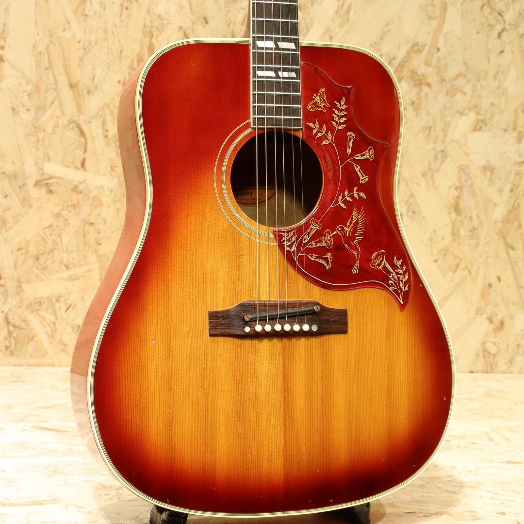 Hummingbird Maple Dark Cherry Burst 1963: アコースティックギター