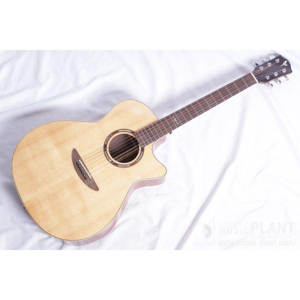 Dream Comes True (DCT) 全商品一覧 | MUSIC PLANT WEBSHOP