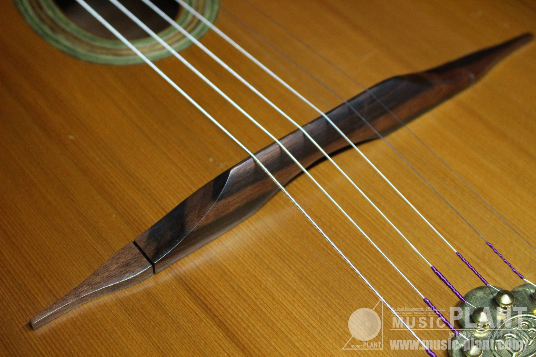 Pierre Fontaine アコースティックギターマカフェリ タイプ中古品在庫