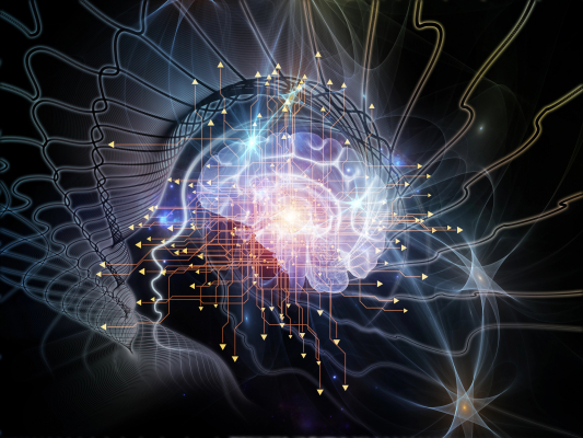 Brain waves shape the words we hear | Max Planck Institute