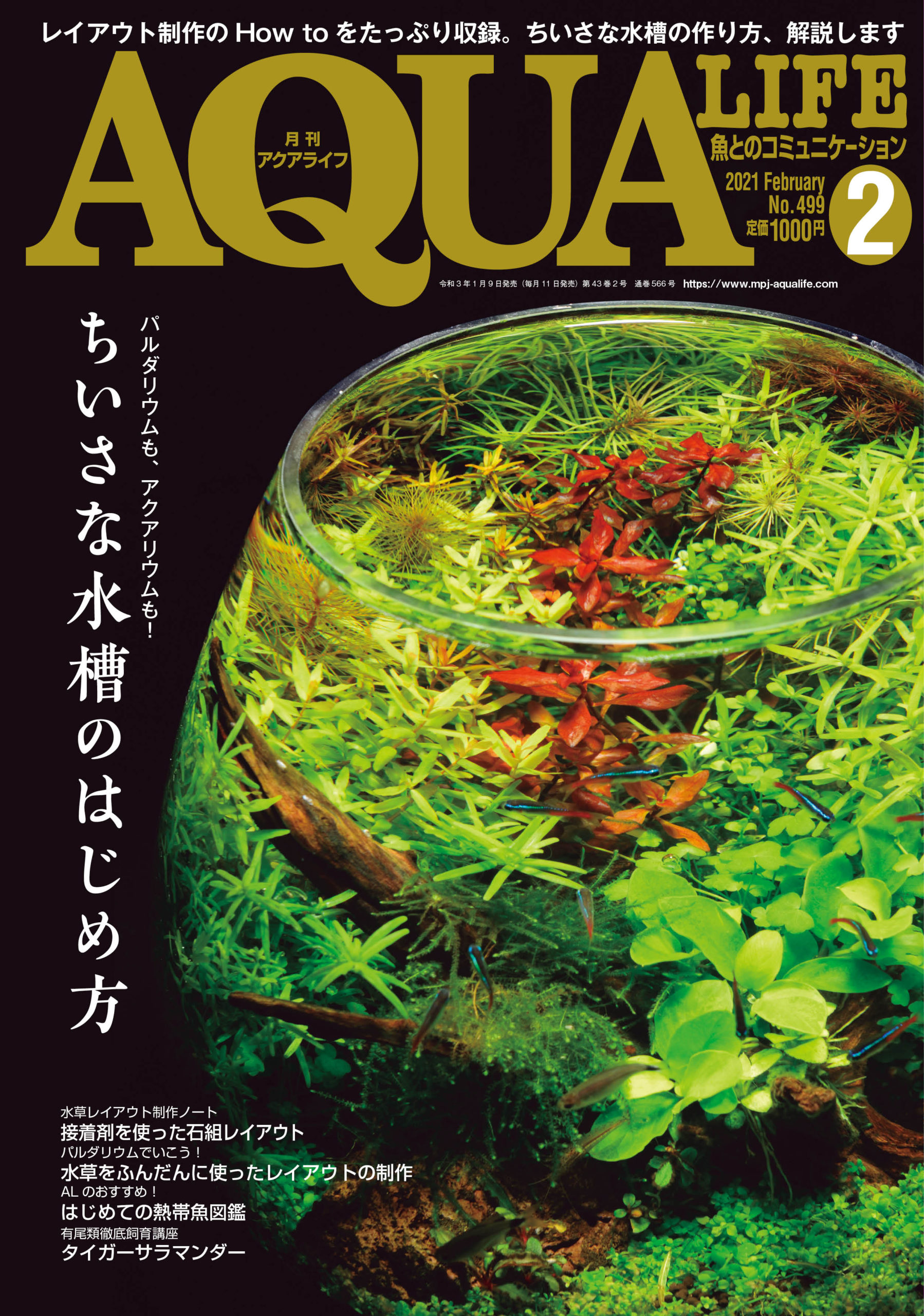 アクアライフ2025年8月号は7月11日発売！ ｜ エムピージェー