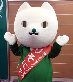 まいど！セレッソ〜マイセレ〜：ニュース