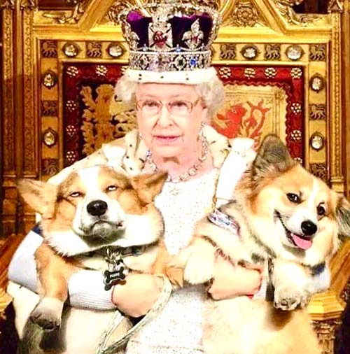 エリザベス女王陛下とワンちゃん達 - 富裕層データを活用した隠れ富裕