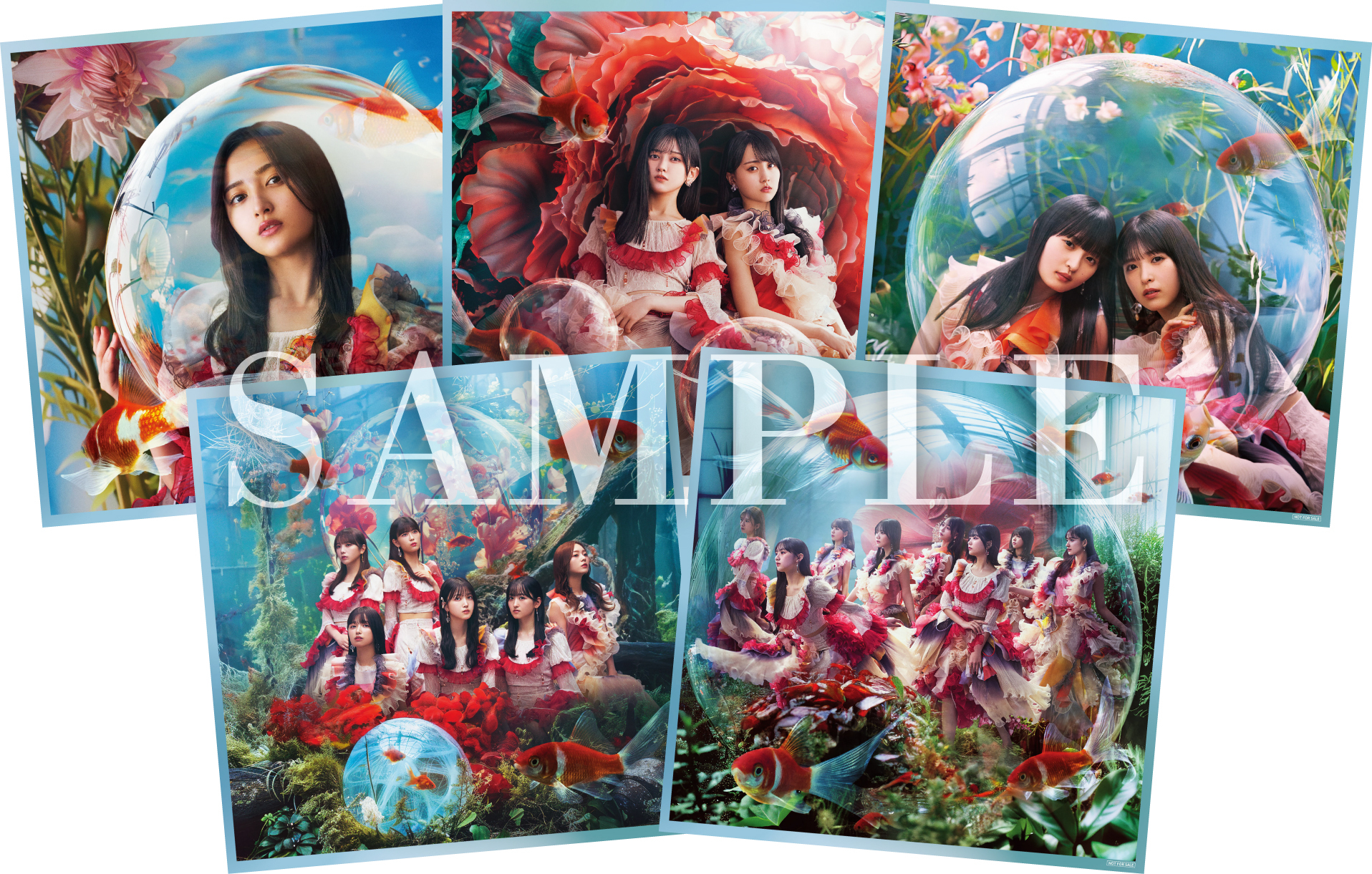 乃木坂46 36thシングルCDショップチェーン別先着特典絵柄が決定！