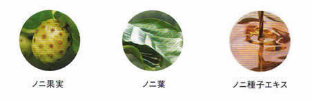 テマナ｜タヒチアンノニジュース通販店 - ノニファミリー