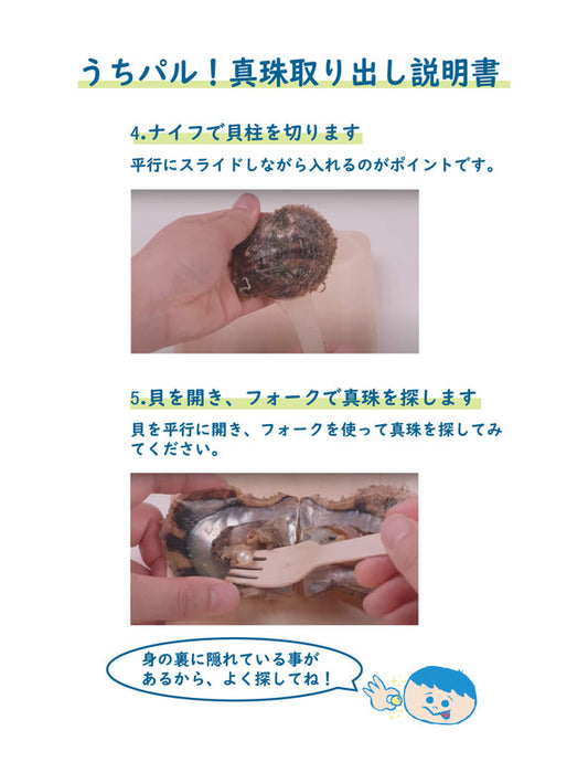 メーカー直送】うちパル! 真珠取り出し体験キット1個 | Northmall