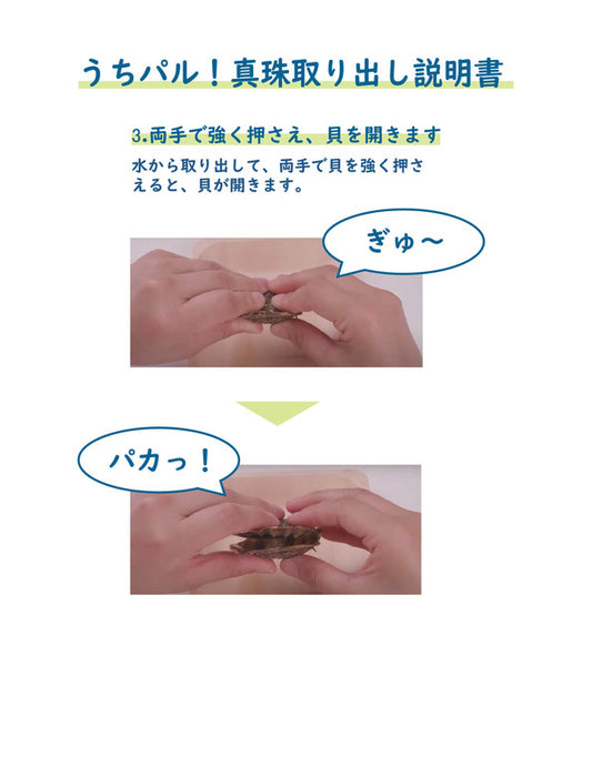 メーカー直送】うちパル! 真珠取り出し体験キット5個セット