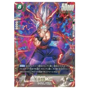 ブルマ(パラレル) UC☆ [神龍への願い] FB07-113 買取