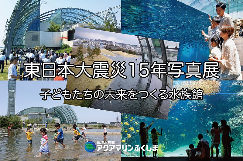 日本の文化を水族館で楽しんで 「アクアマリンのひな祭り」開催