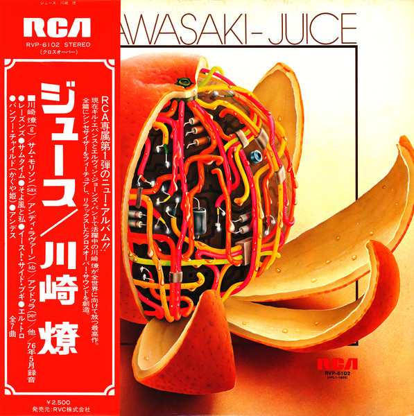 Ryo Kawasaki - Juice | NEWTONE RECORDS