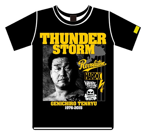 天龍源一郎引退記念 全日本プロレス&新日本プロレス激闘の軌跡 DVD-BOX