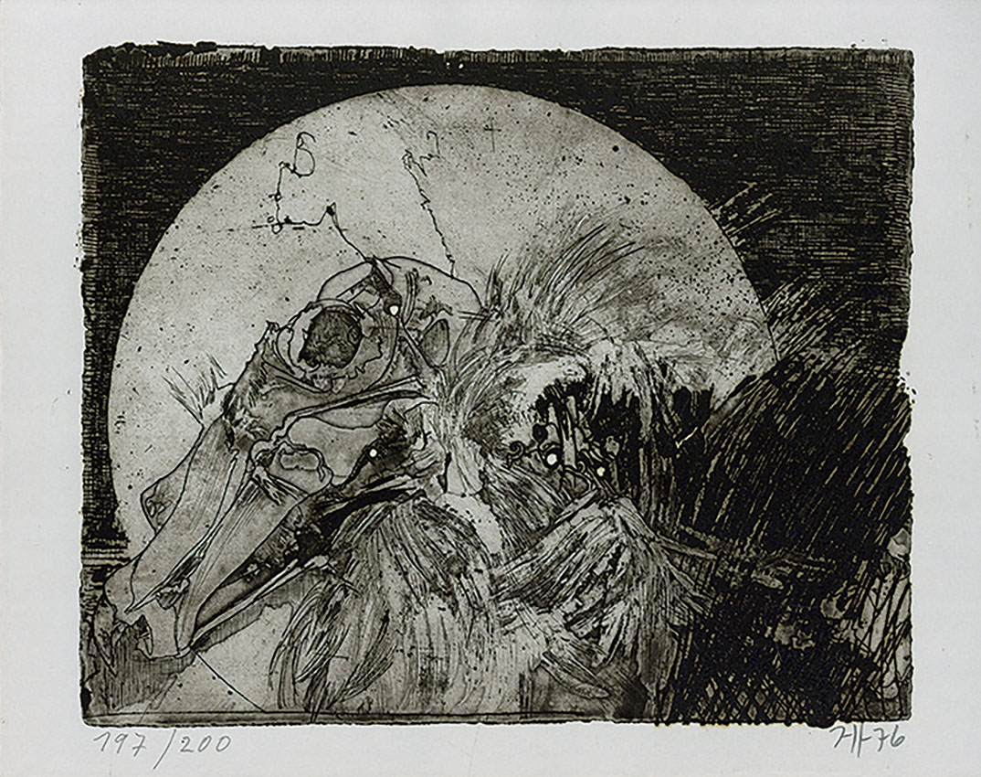 ホルスト・ヤンセン版画「作品」 | Natsume Books