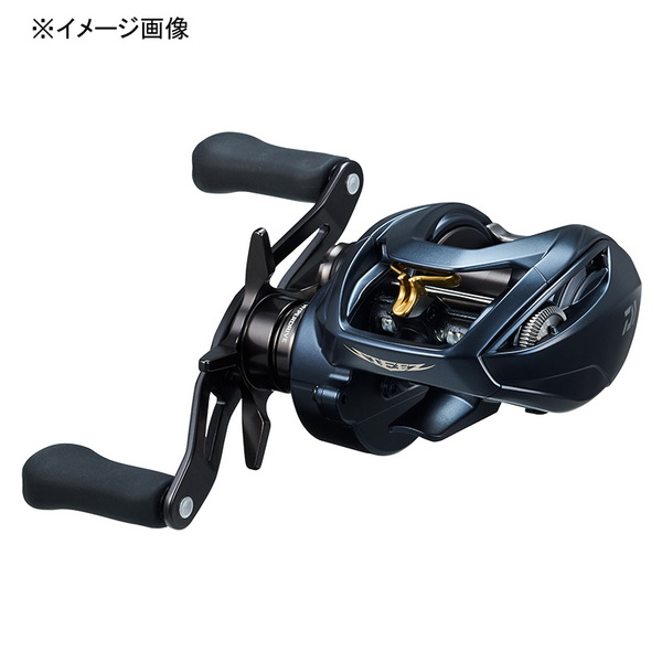 ダイワ(Daiwa) STEEZ AII TW 1000XHL(スティーズA2TW) 左ハンドル