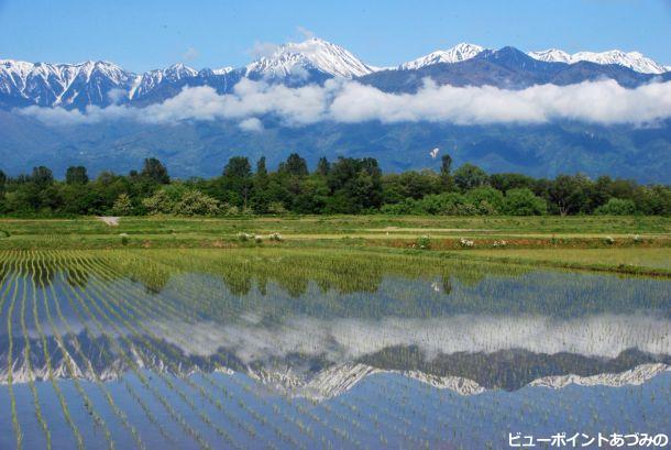 初夏の北アルプス - 安曇野の風景写真 ビューポイントあづみの