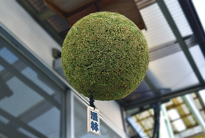 杉玉 | なかのの酒蔵