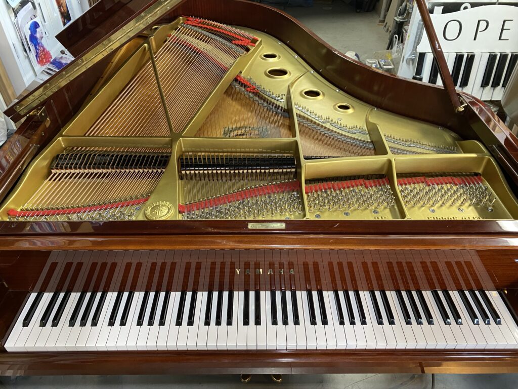 Yamaha No.G5 – 南国ピアノ芸術