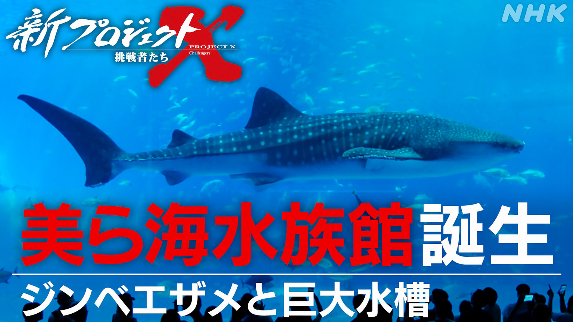 新プロジェクトX～挑戦者たち～ 美ら海水族館誕生～ジンベエザメと