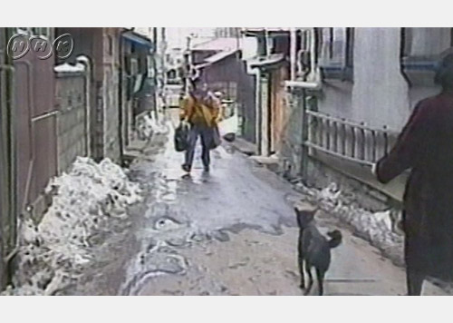 たんけんぼくのまち｜番組｜NHKアーカイブス