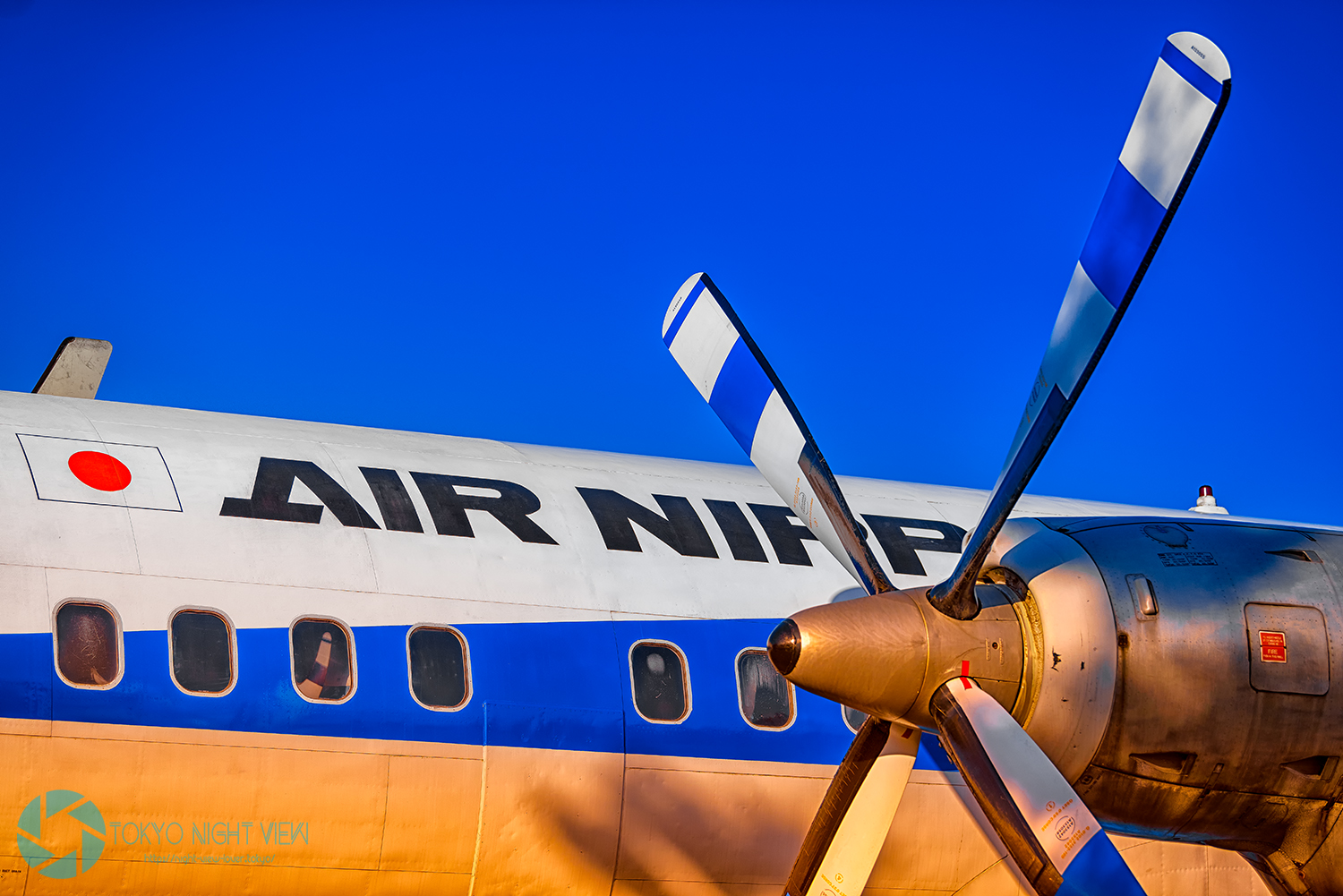 所沢航空公園のYS-11を撮る