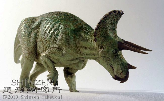 SHINZEN's Home Page (tricera2010)