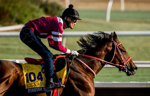 BCクラシック】西海岸にも「トレセン学園」フォーエバーヤング荒木助手