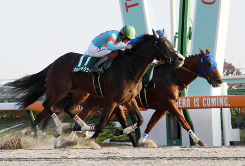 チャンピオンズC】「幻のG1馬」「種付けして」国内重賞で唯一レモン