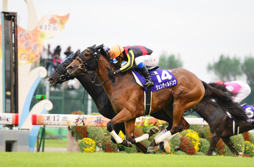 G1・7勝の3冠牝馬ジェンティルドンナ死す 史上初のJC連覇 年度代表馬