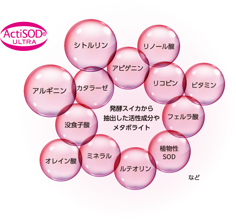 アクティアージュ 3ステップセット＜もっとハリ・うるおいケア