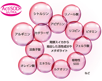 サヴォン アンベリール（ミニサイズ）＜洗顔石けん＞ | 洗顔石鹸