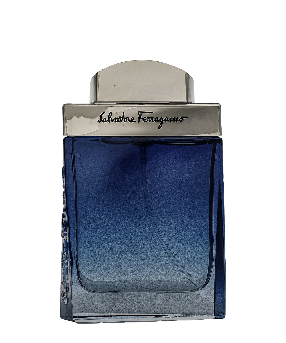 サルヴァトーレフェラガモ サブティール プールオム オードトワレ 通販