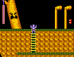 Ghouls'n Ghosts (대마계촌) - Screenshots - SMS Power!