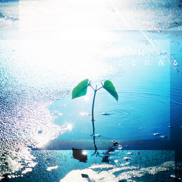 DISCOGRAPHY｜【ソナーポケット/ソナポケ】 Sonar Pocket Official