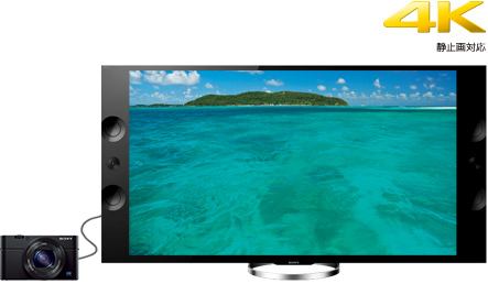 RX100III(DSC-RX100M3) 特長 : 便利なアクセサリーとテレビ写真鑑賞