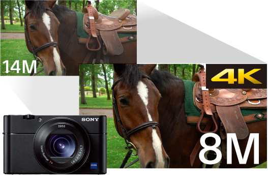 RX100V(DSC-RX100M5) | デジタルスチルカメラ Cyber-shot