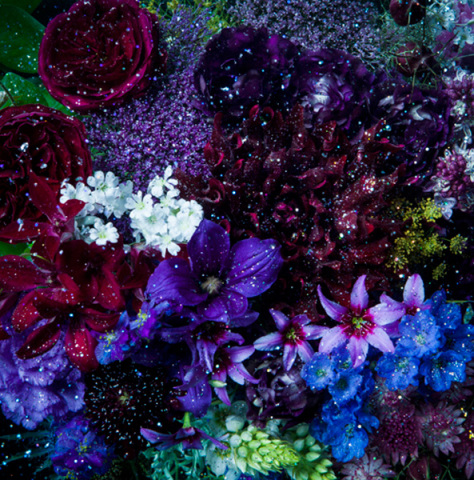 あなたに出会わなければ～夏雪冬花～/星屑ビーナス【初回生産限定盤