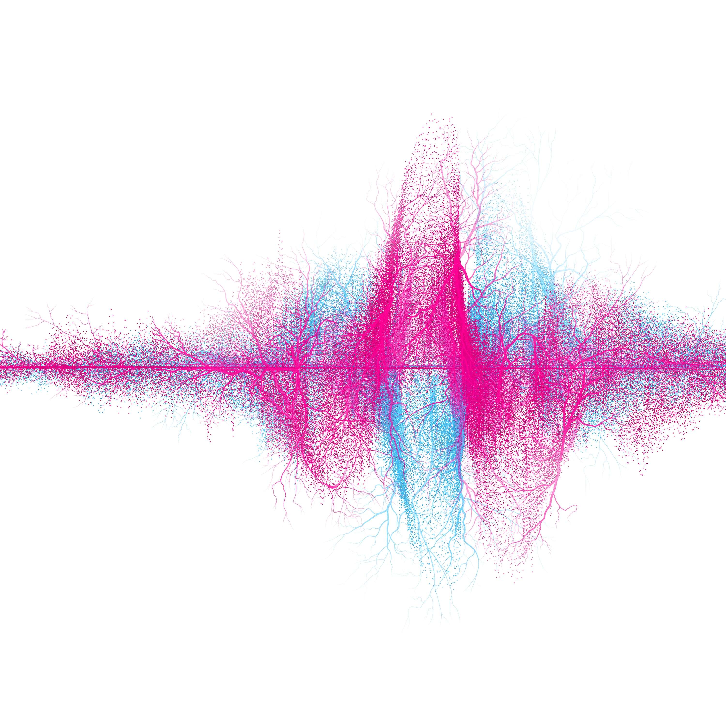 音楽【初回生産限定盤】[DVD]・SUPER BEAVER | Sony Music Shop・CD