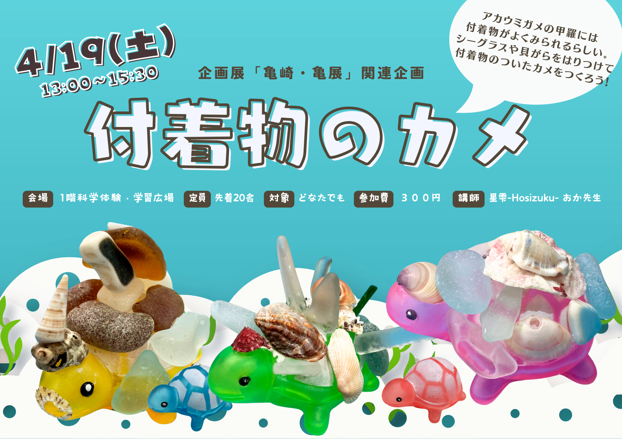 付着物のカメ（4/19）｜人と科学の未来館サイピア