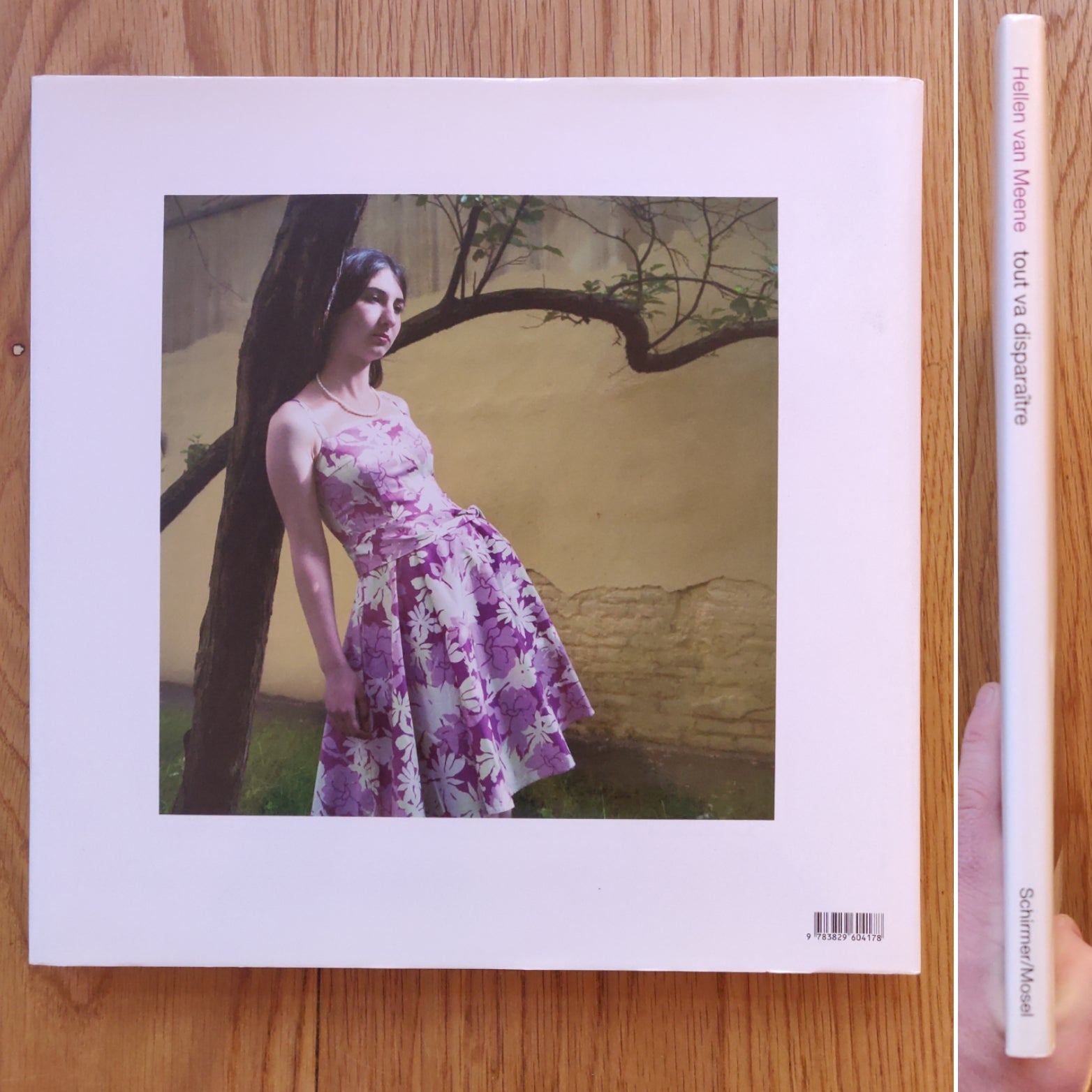 Tout Va Disparaitre by Hellen van Meene | Photography | Setanta Books