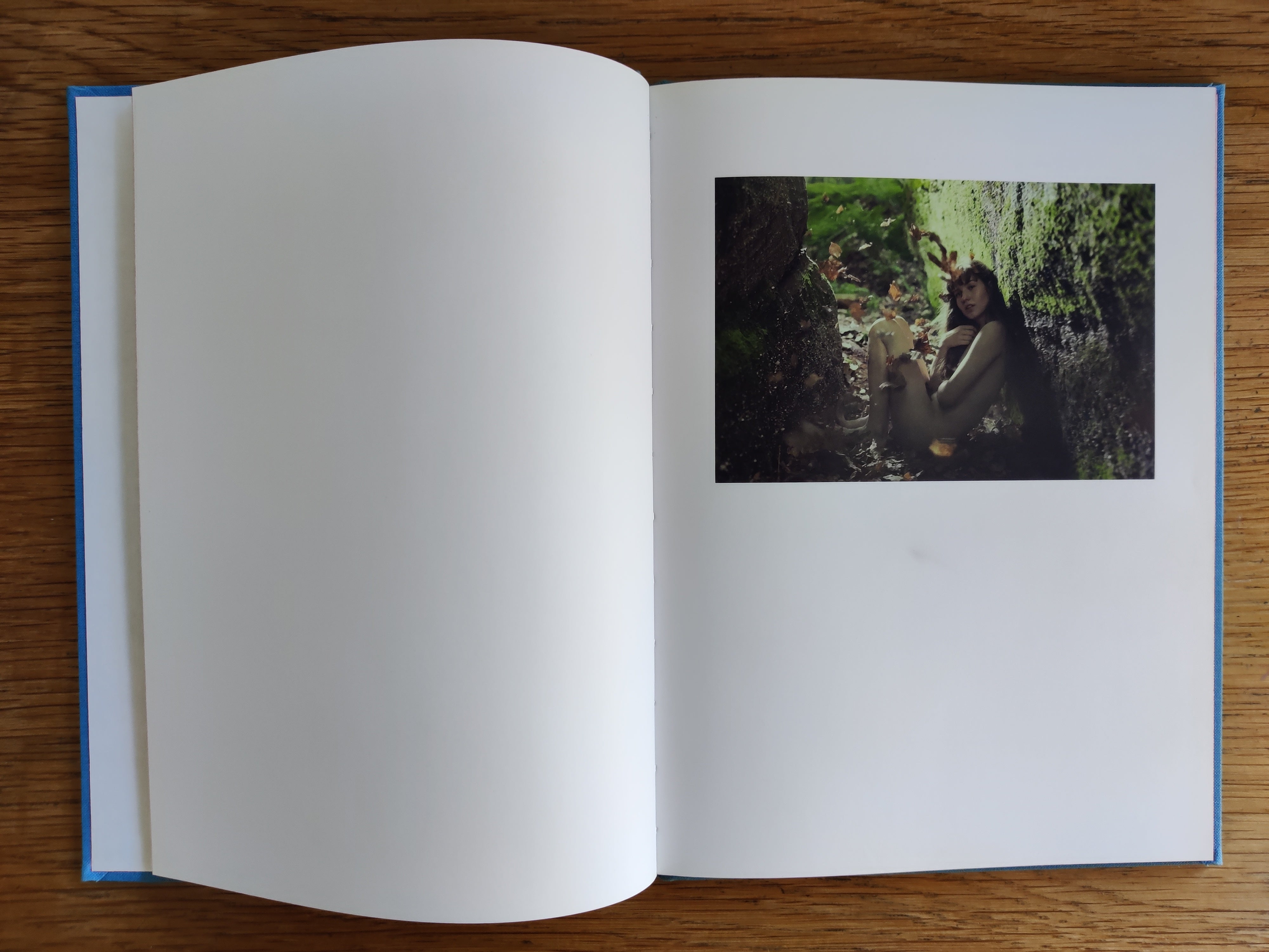 Buy Life Adjustment Center by Ryan McGinley Online – Setanta Books