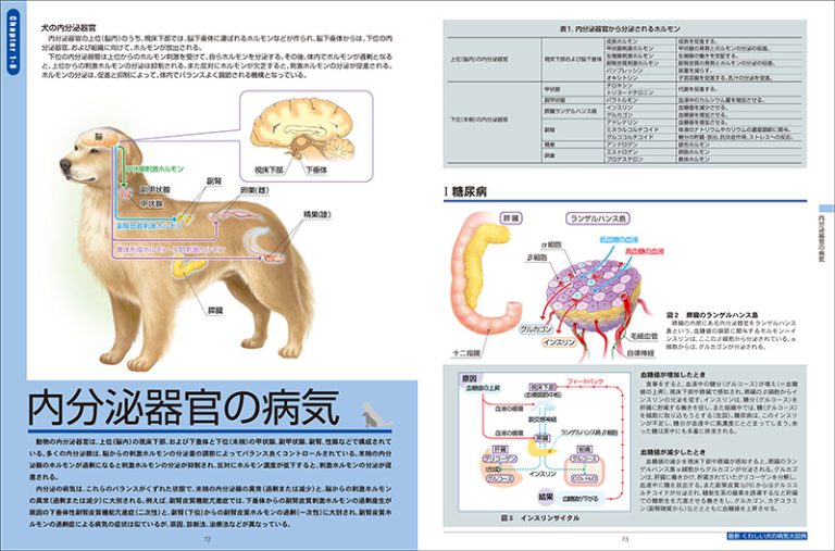 最新 くわしい犬の病気大図典 | 株式会社誠文堂新光社