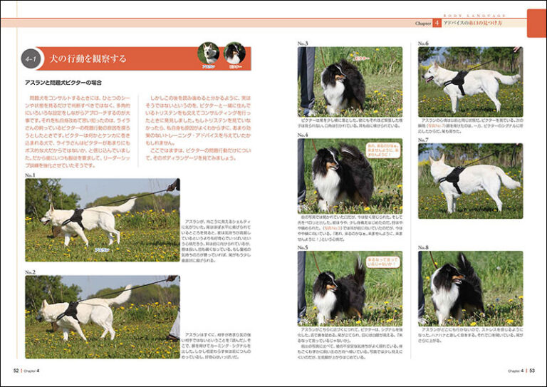 ドッグ・トレーナーに必要な「犬に信頼される」テクニック | 株式会社