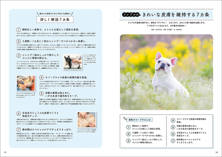 愛犬の友 2018年5月号 | 株式会社誠文堂新光社