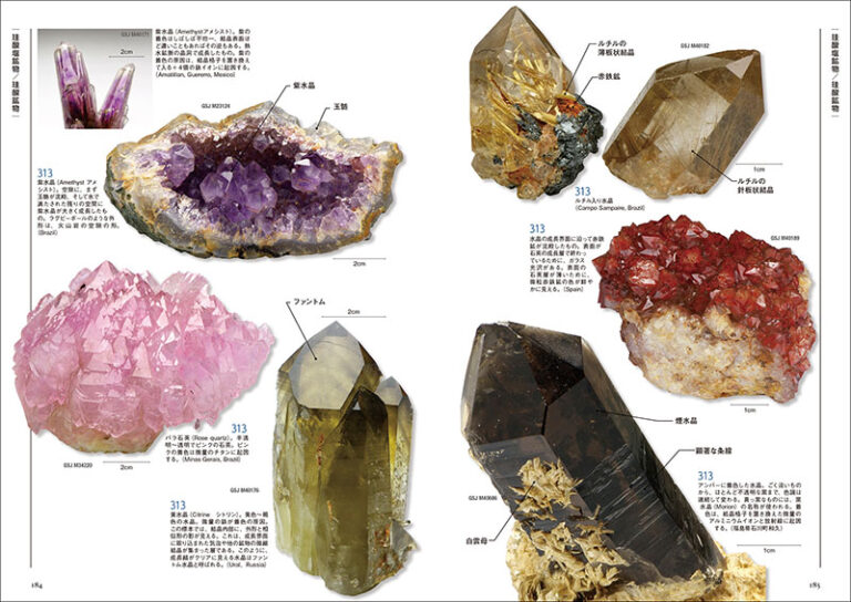 新版 鉱物分類図鑑 323 | 株式会社誠文堂新光社