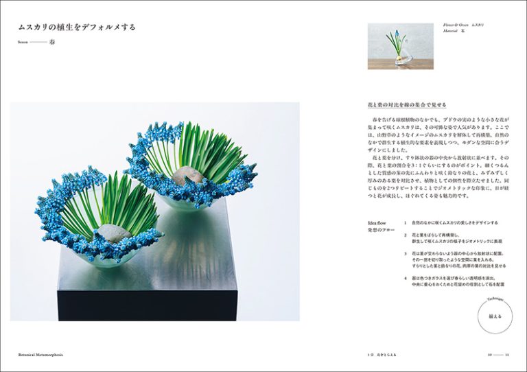 ボタニカル・メタモルフォーシス | 株式会社誠文堂新光社