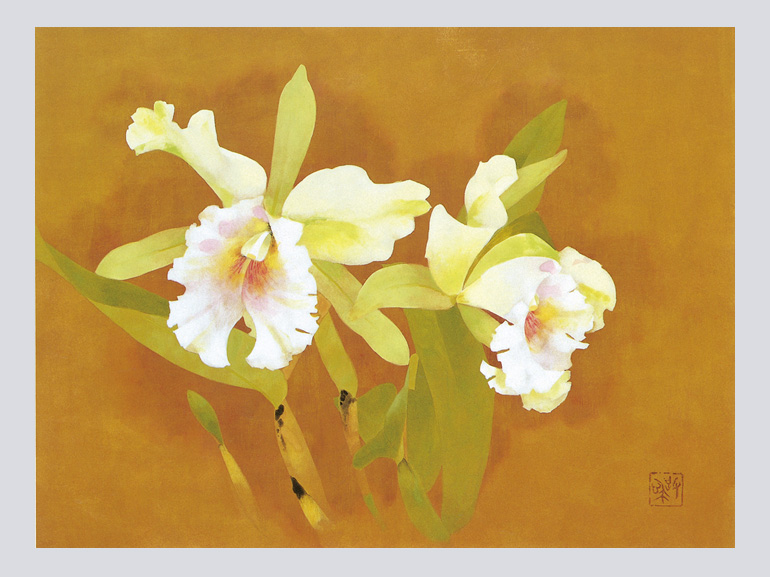 蘭薫る｜青幻舎 SEIGENSHA Art Publishing, Inc.