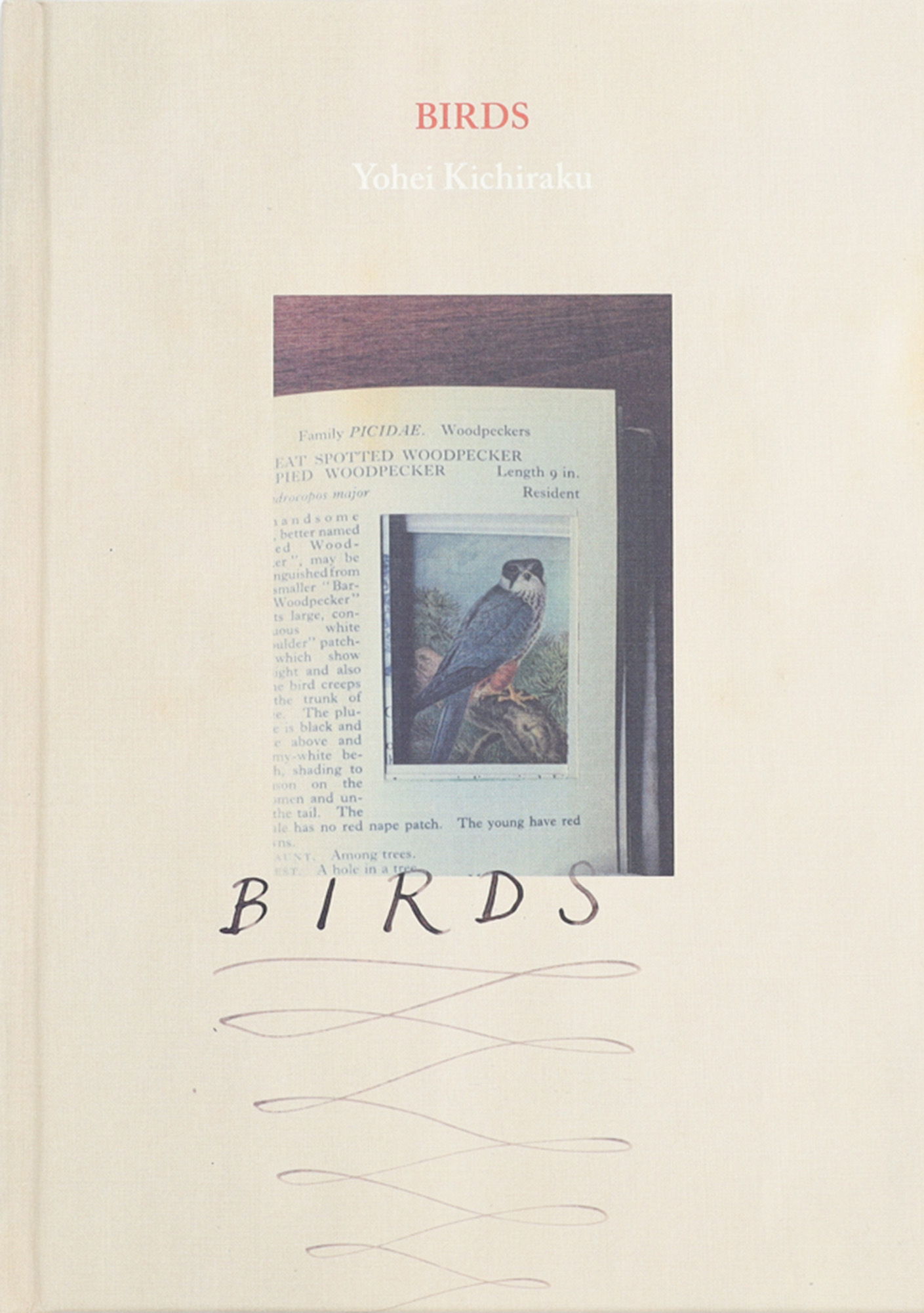 BIRDS｜青幻舎 SEIGENSHA Art Publishing, Inc.