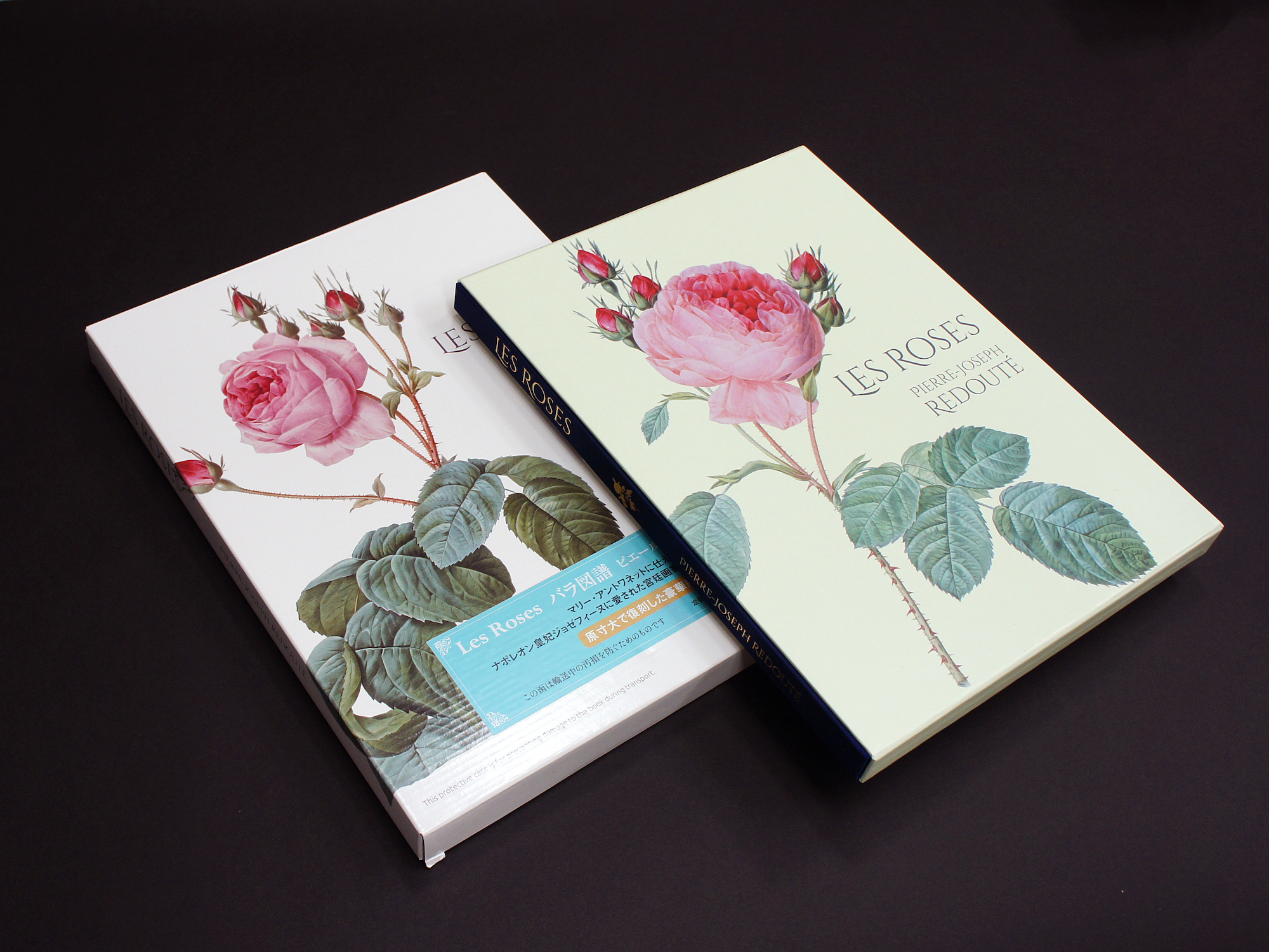 Les Roses バラ図譜｜青幻舎 SEIGENSHA Art Publishing, Inc.