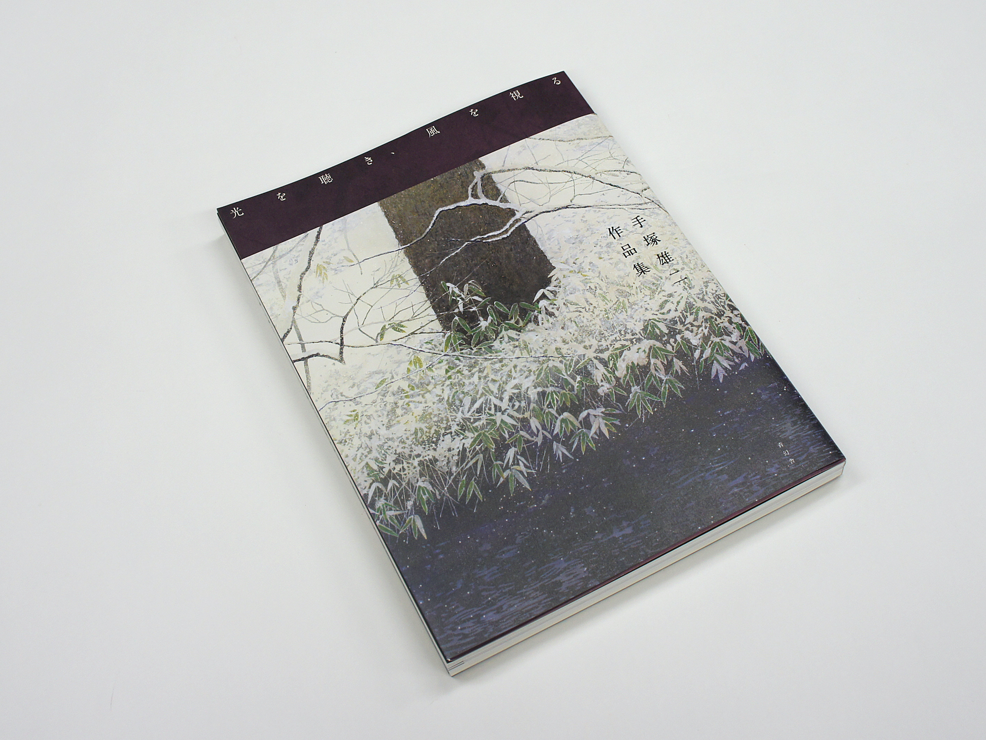 手塚雄二作品集 光を聴き、風を視る｜青幻舎 SEIGENSHA Art Publishing