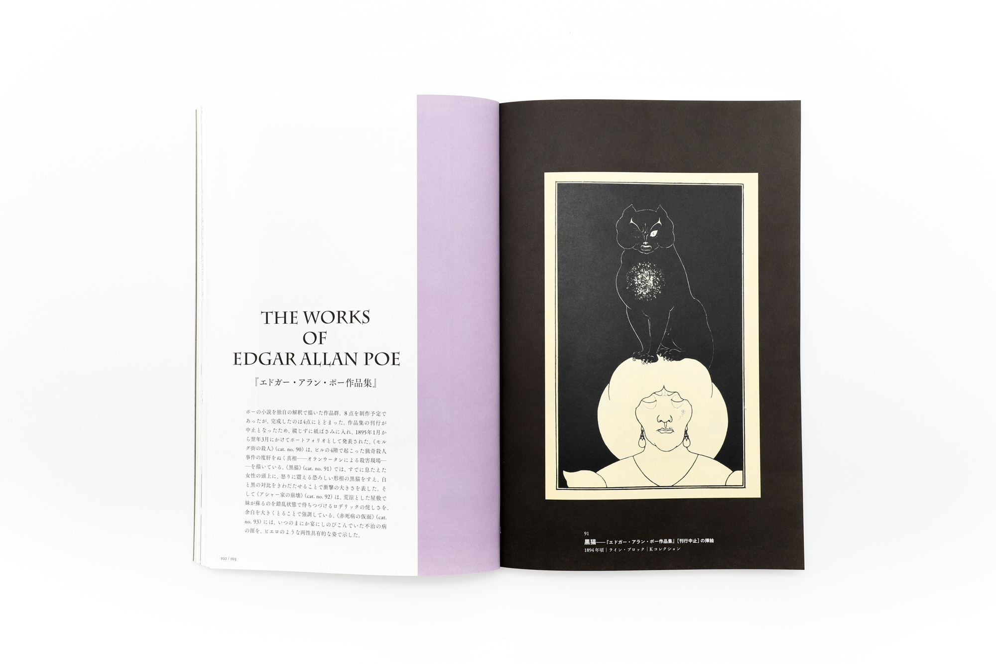 異端の奇才 ビアズリー｜青幻舎 SEIGENSHA Art Publishing, Inc.